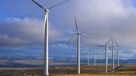 نیمی از برق دانمارک با بهره گیری از انرژی باد تولید می شود