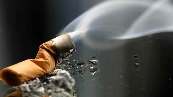 ته سیگار جا مانده خانه ای را به آتش کشید 