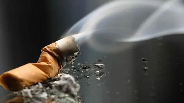 ته سیگار جا مانده خانه ای را به آتش کشید 