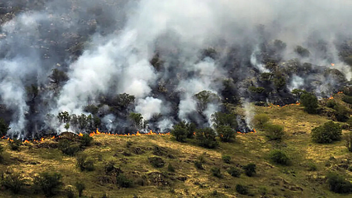 گروهی از نیروهای عملیاتی مجهز به تجهیزات اطفای حریق جنگل الیت به ارتفاعات منتقل شده‌اند / احتمالا شب را در منطقه می‌مانند