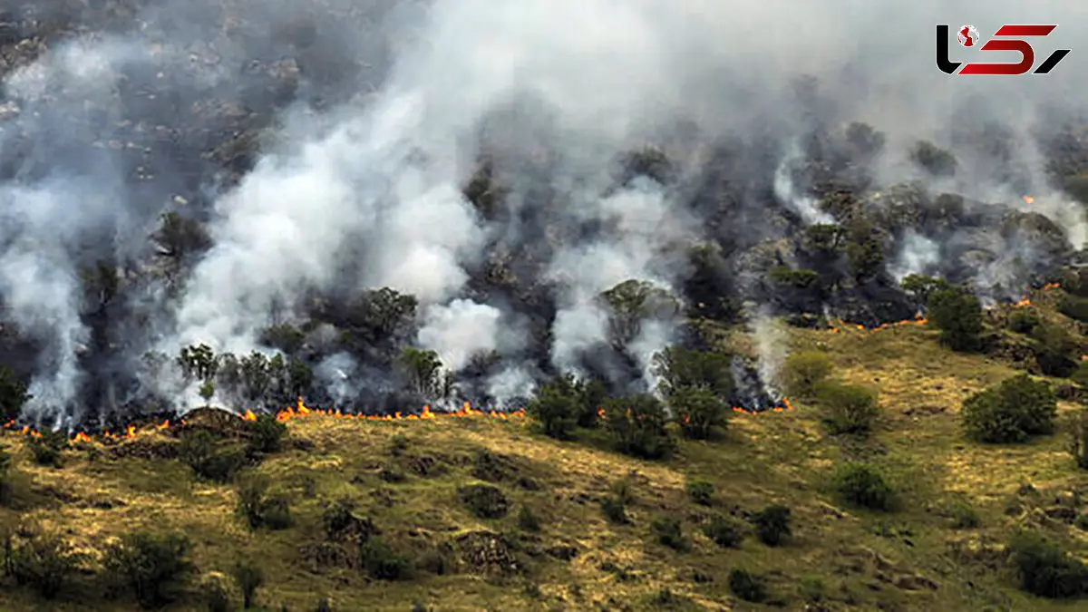هواپیمای ترکیه هنوز به هیرکانی نرسیده است/ آتش در روزهای آینده نیز شعله ور خواهد بود/ نیروی انسانی نیاز نیست، تجهیزات الزام است/ نقاط مرکزی آتش دیده نمی شود