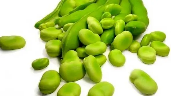 گیاهی سرشار از ویتامین و املاح معدنی