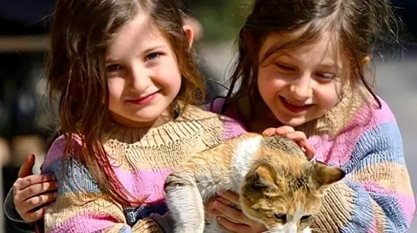 تغییرات جذاب سارا و نیکا سریال پایتخت از کودکی تا جوانی زیبایشان !  + عکس ها صفر تا صد