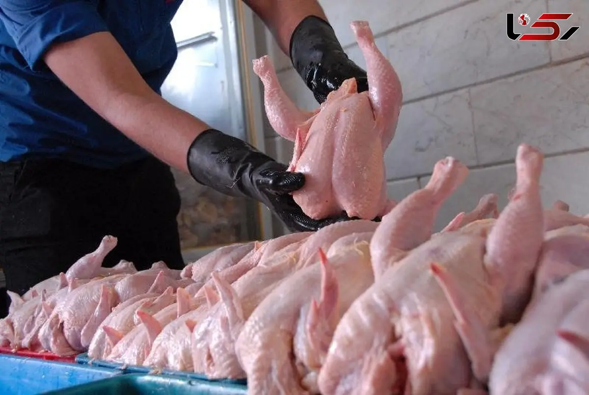 بر خورد با گرانفروشی گوشت مرغ 