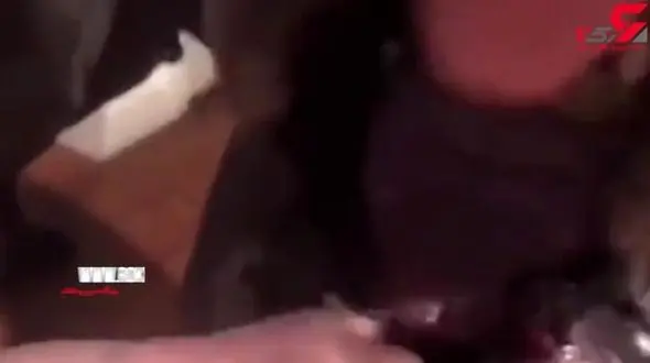 پنهان کاری بامزه سگ شکمو +فیلم 