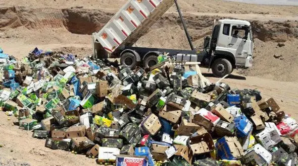 51 تن انواع میوه قاچاق در یزد نابود شد+عکس