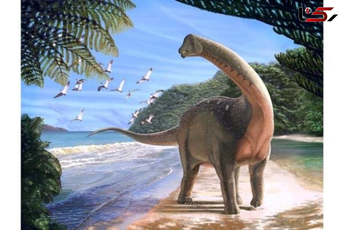 فسیل یک دایناسور غول پیکر در صحرای مصر کشف شد/وزن این فسیل اندازه فیل بود