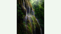 آبشار پوشیده از خزه در گلستان + عکس