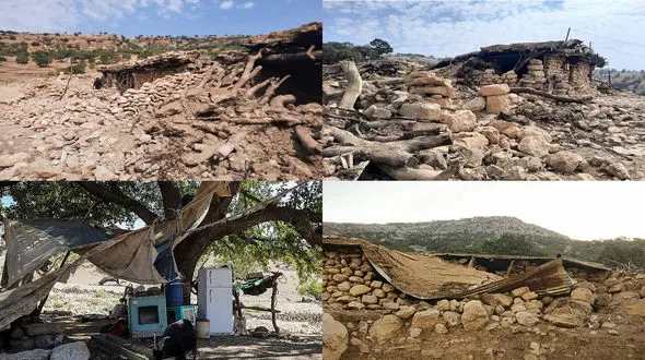 خطرناک ترین عقرب ایران در کمین زلزله زدگان اندیکا / کانس های زلزله کرمانشاه را به اندیکا برسانید