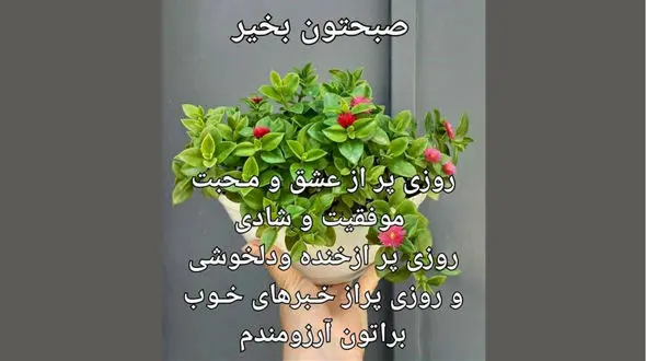 فال ابجد امروز / 26 اردیبهشت ماه + فیلم 
