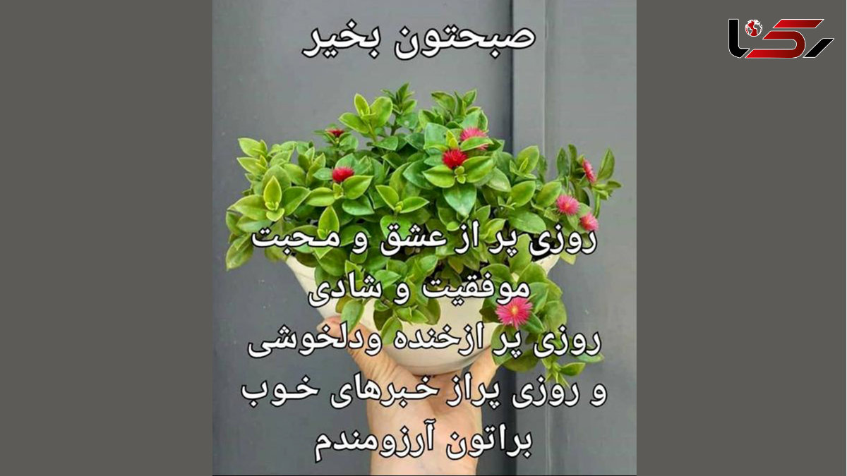 فال ابجد امروز / 26 اردیبهشت ماه + فیلم 