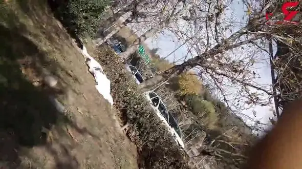 اولین تصاویر از خودکشی مرد جوان از روی پل طبیعت تهران +فیلم