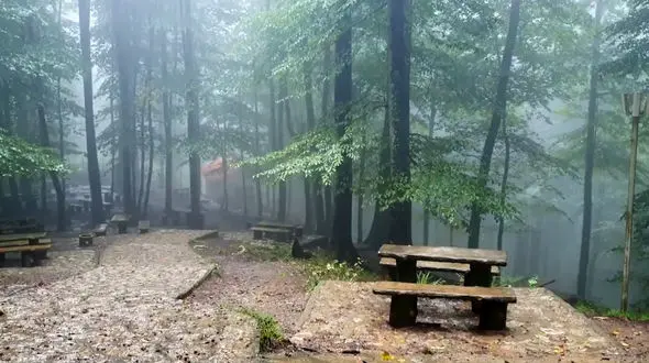 ببینید / نماهنگ بی کلام و آرامش بخش باتصاویر زیبا از نمک آبرود + فیلم