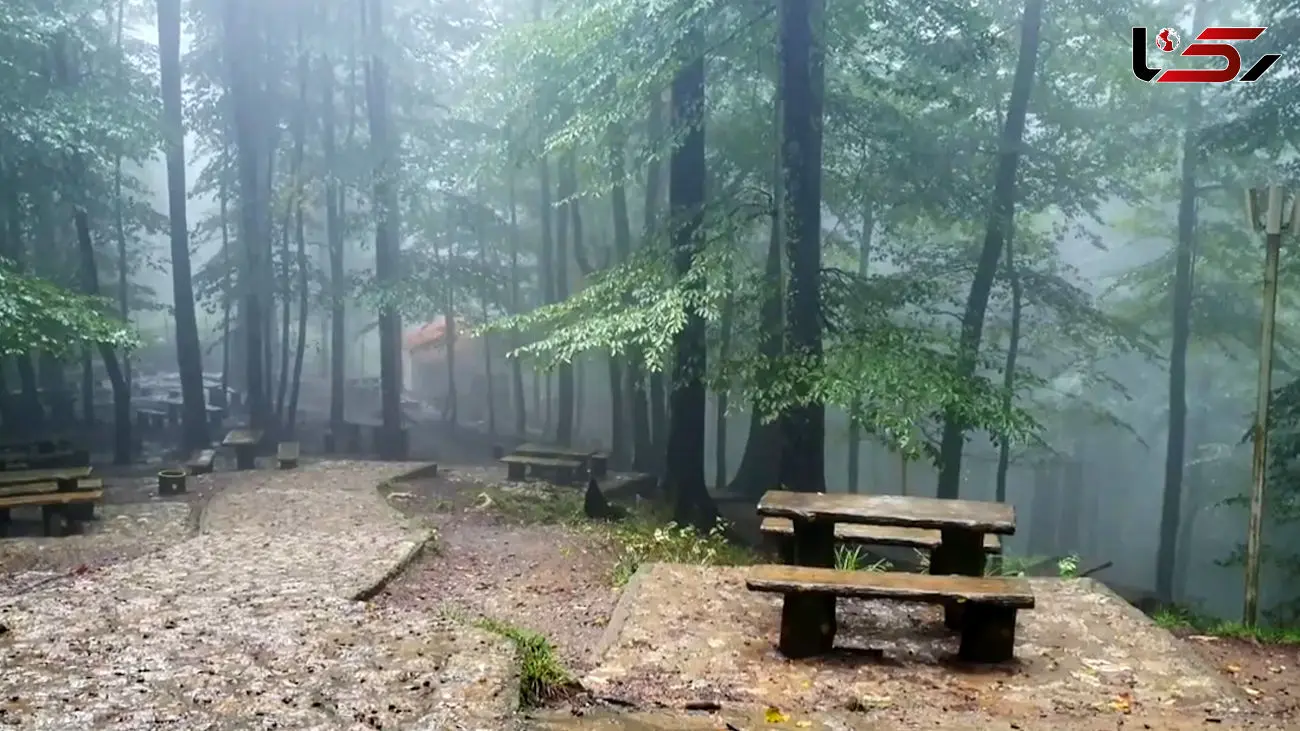 ببینید / نماهنگ بی کلام و آرامش بخش باتصاویر زیبا از نمک آبرود + فیلم