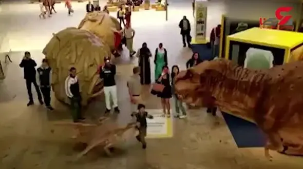 باغ وحش 7 بعدی در ژاپن