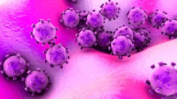 
‌چه تعداد ایرانی کرونا خواهند گرفت؟
