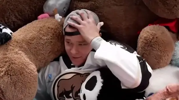 فیلم پرتاب هزاران خرس عروسکی در لیگ هاکی آمریکا