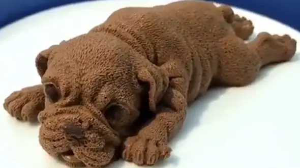 تکه تکه کردن یک سگ با چاقو ! + فیلم