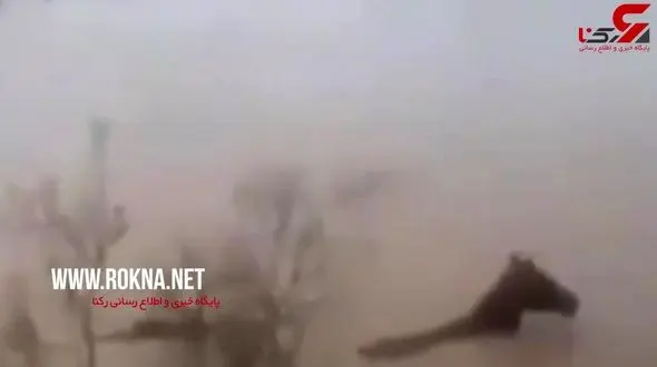 فیلم دلخراش از اسیر شدن اسب‌های ترکمن در سیل استان گلستان + تصویر 