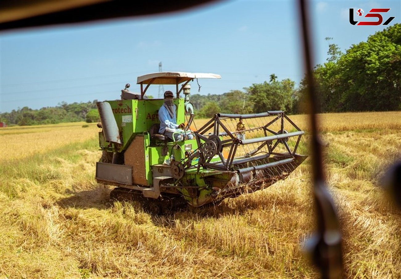 ۳۶ درصد ماشین‌آلات کشاورزی استان قزوین فاقد پلاک است