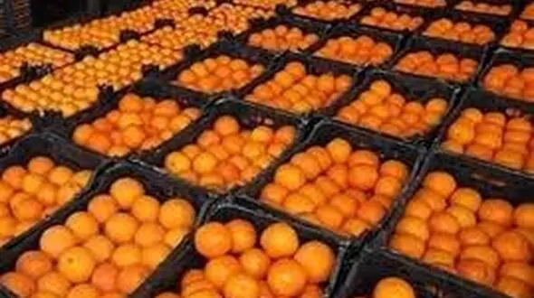 نارنگی پاکستانی و پرتقال مصری  عیدی قاچاق به ایرانی‌ها