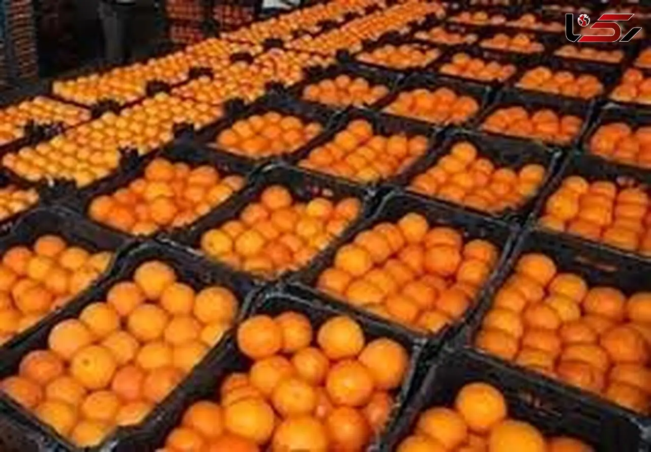 نارنگی پاکستانی و پرتقال مصری  عیدی قاچاق به ایرانی‌ها