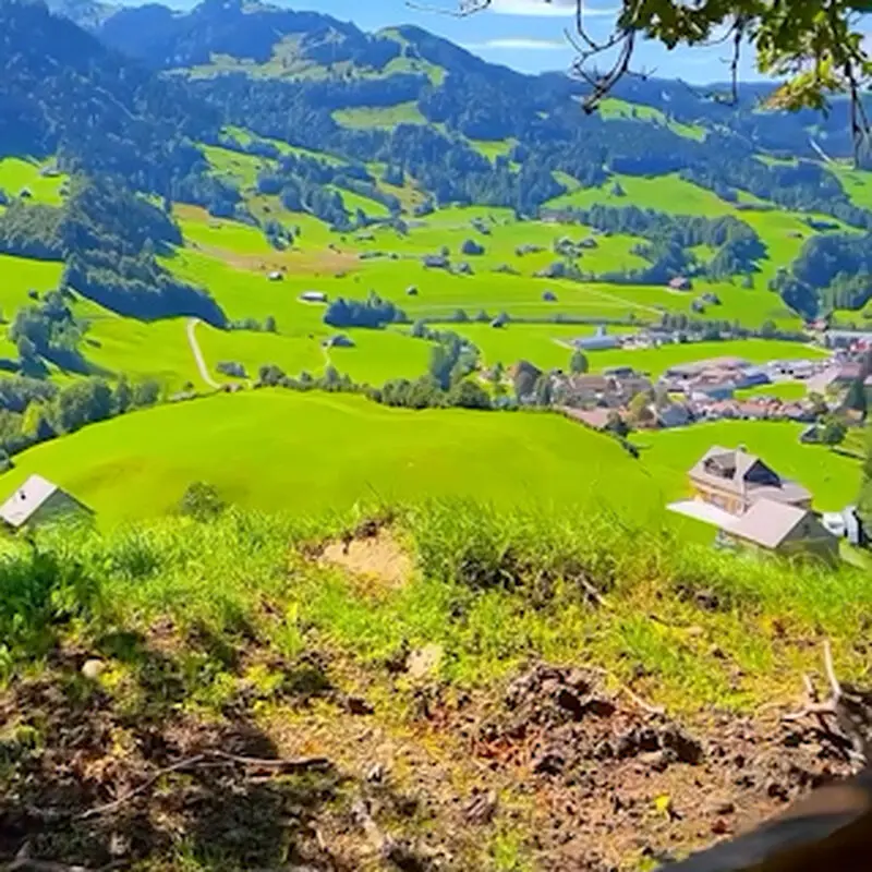 زنذگی خوب طبیعت