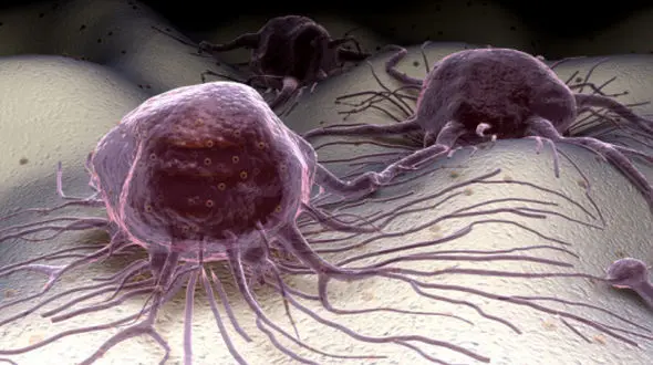 شیمی‌درمانی احتمال پراکندگی تومورهای بدخیم را افزایش می‌دهد