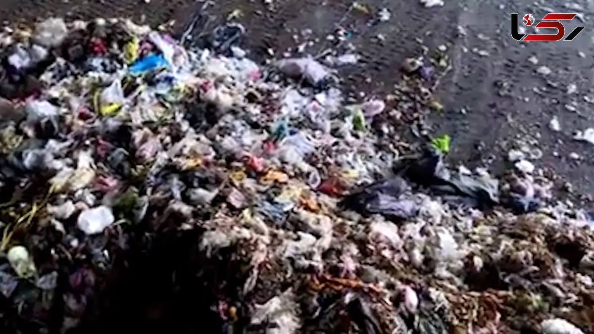 فیلم افشای دلیل بوی آزاردهنده در جنوب تهران