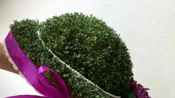 راز خاص‌ ترین سبزه عید فاش شد، فیلم رو ببین!