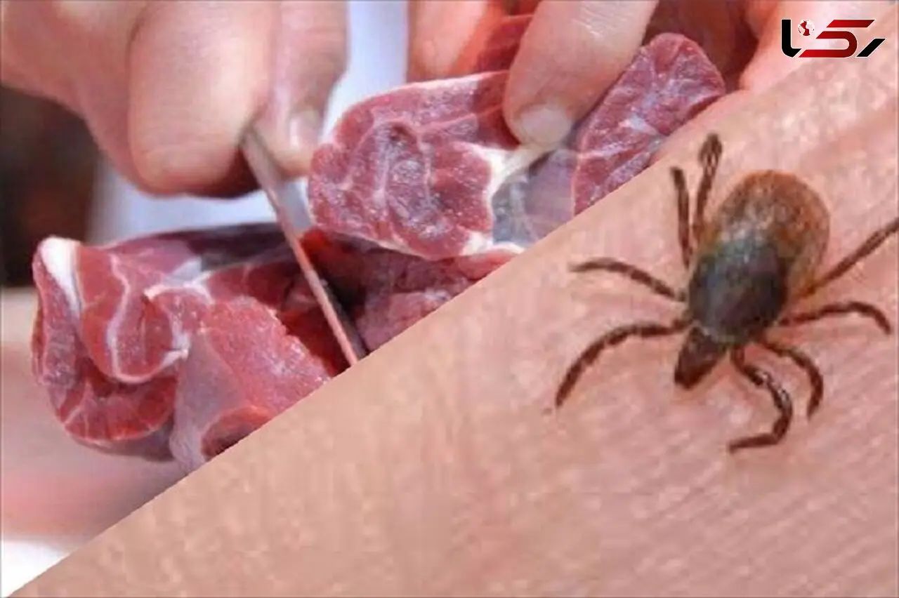 افزایش فوتی های تب کریمه کنگو به ۵ نفر