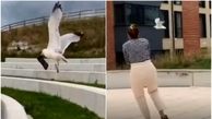  فیلم لحظه قاپیدن موبایل زن جوان توسط  پرنده!