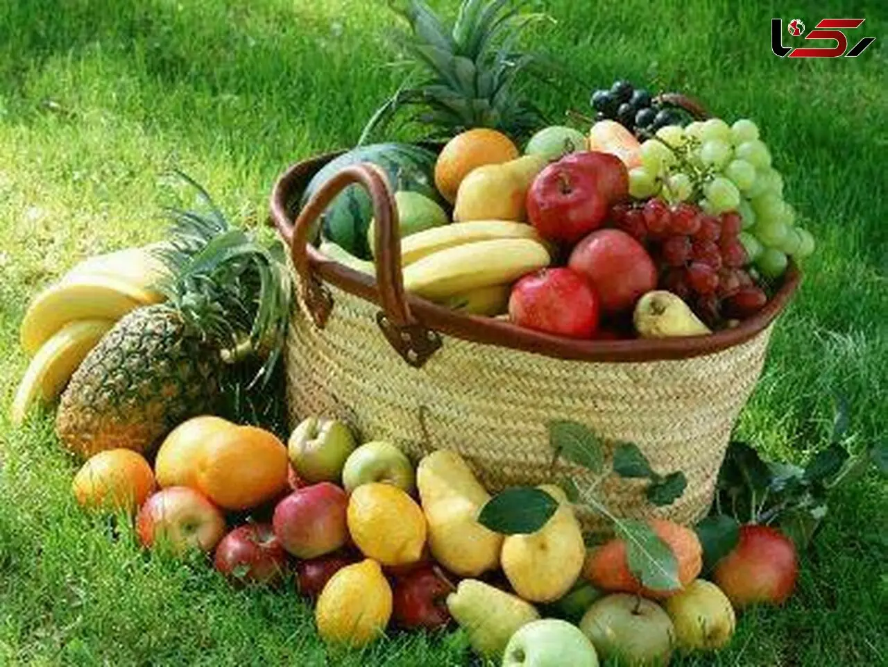 9 نکته کوتاه اما مهم برای سلامت بدن 