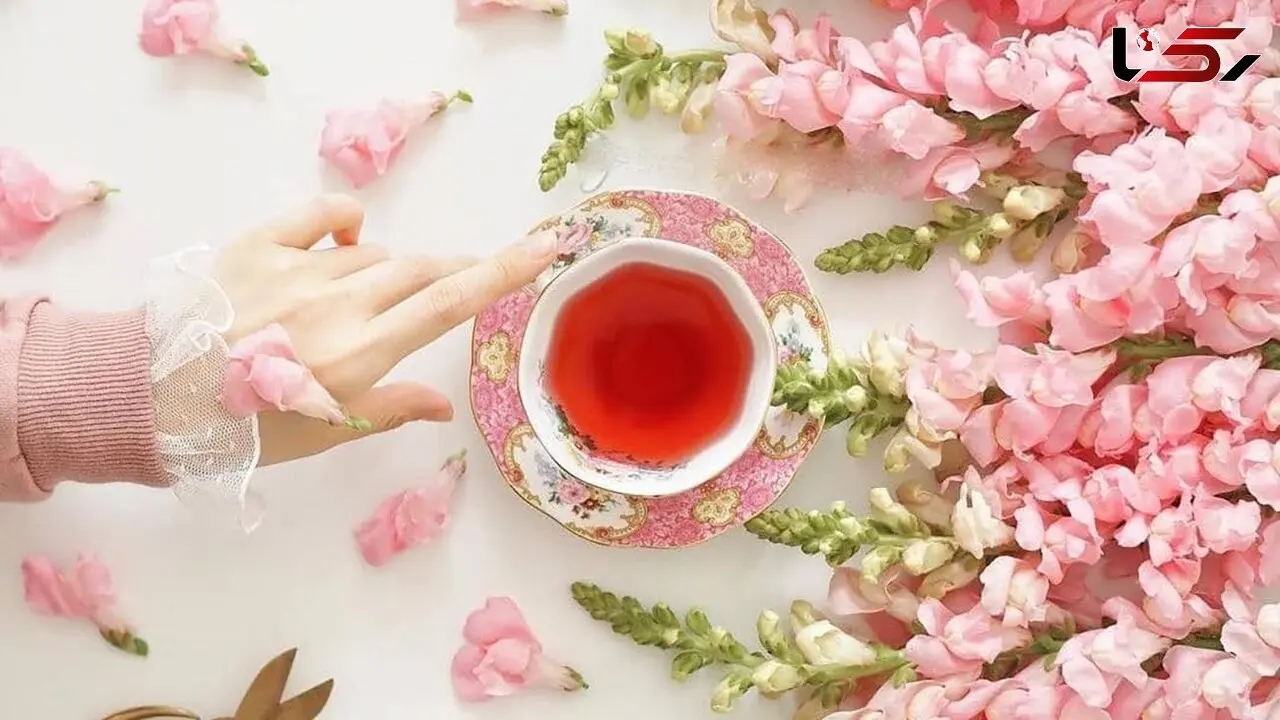 فال و طالع بینی امروز 27 خرداد + فیلم