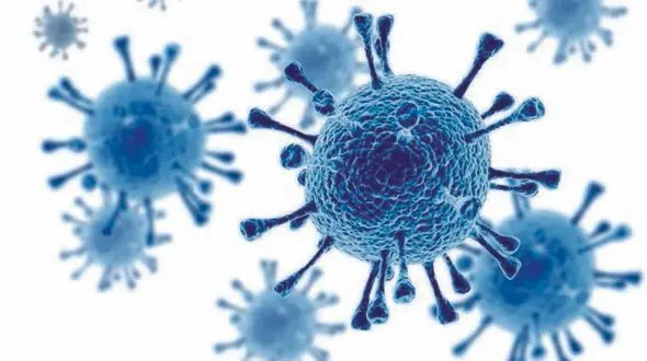 پایان تلخ یک سال مبارزه یک مرد با کرونا / او یک ساعت پس از مرخص شدن از بیمارستان جان داد + عکس