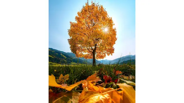 فال و طالع بینی امروز 16 آبان + فیلم 