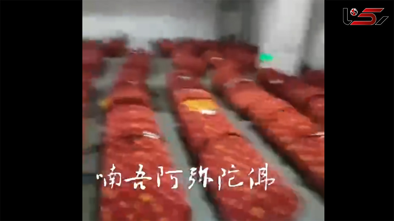 ببینید / تصاویری آخرالزمانی از اجساد در چین بر اثر ابتلا به کرونا + فیلم تلخ