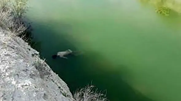 گودال شنی جوان لاری را بلعید / جنازه اش کشف شد 