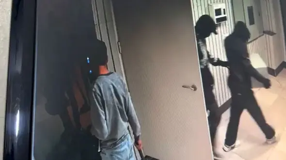 فیلم هشدار آمیز از دستبرد زدن به یک خانه / اموال قیمتی را در خانه نگه ندارید