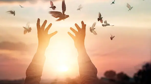 مرد تهرانی بخاطر بدهکاری 4 میلیاردی 17 سال در زندان بود / آزادی مرد زندانی با ورود رییس کل دادگستری تهران + فیلم