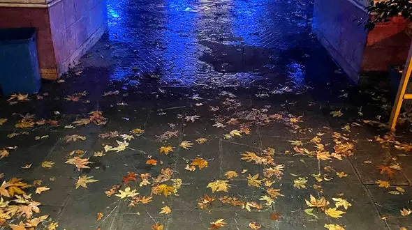 فال ابجد امروز / 15 آذر ماه + فیلم 