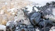 ماجرای سوزاندن 50 سگ در کیسه زباله در شاهد شهر + عکس