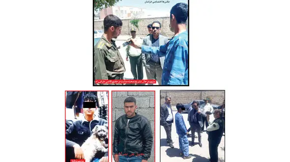 جزئیات یک جنایت مستانه / قاتل چاقوکش فقط 20 سال دارد! + عکس 