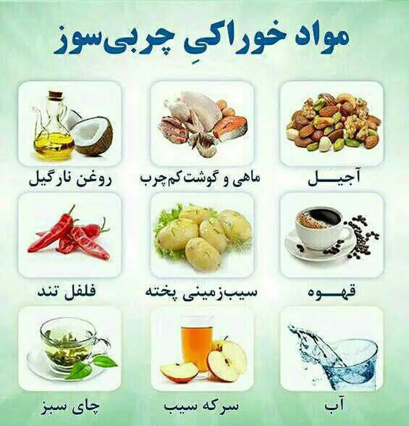 مواد خوراکی چربی سوز