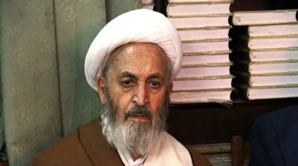 آیت‌الله سبحانی: نباید به دنبال این باشیم که سنی را شیعه و شیعه را سنی کنیم/ آقایان هنوز شیعه را نمی‌شناسند