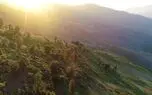 ریلکس کنید / نماهنگ بی کلام آرامش بخش با تصاویر منظره ایران + فیلم 