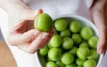 خواص گوجه سبز در طب سنتی؛ از کمک به گوارش تا مراقبت از معده / پاسخ به سوالات متداول
