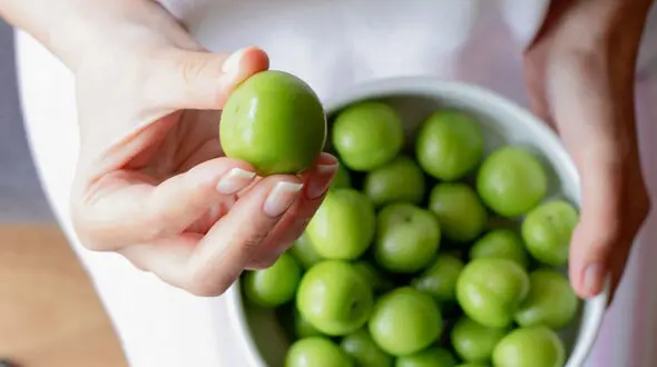 خواص گوجه سبز در طب سنتی؛ از کمک به گوارش تا مراقبت از معده / پاسخ به سوالات متداول