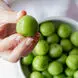 خواص گوجه سبز در طب سنتی؛ از کمک به گوارش تا مراقبت از معده / پاسخ به سوالات متداول