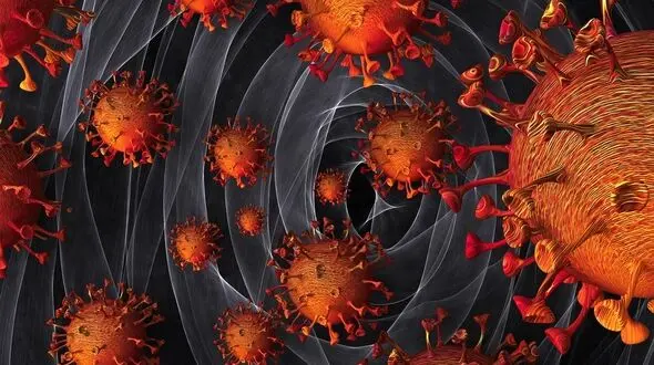 احتمال آغاز موج هشتم کرونا در کشور 